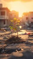 A plant emerges from the debris at dawn after a hurricane. Concept of hope and revival. . photo