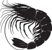 Shrimp silhouette design white background vector