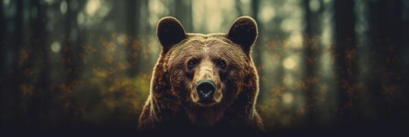 Portrait of a majestic face of a bear on the background of a forest. . photo