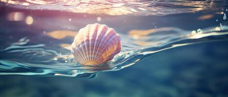 Sea shell in water. . photo