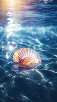 Sea shell in water. . photo