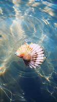 Sea shell in water. . photo