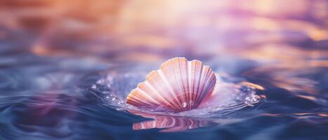 Sea shell in water. . photo