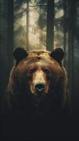 Portrait of a majestic face of a bear on the background of a forest. . photo