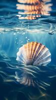 Sea shell in water. . photo