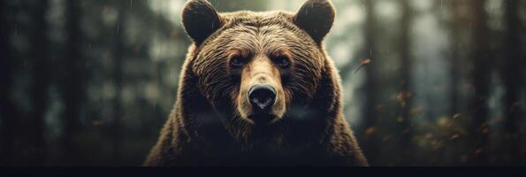 Portrait of a majestic face of a bear on the background of a forest. . photo