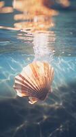 Sea shell in water. . photo