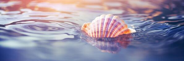 Sea shell in water. . photo