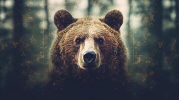 Portrait of a majestic face of a bear on the background of a forest. . photo
