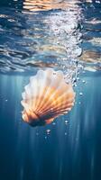 Sea shell in water. . photo