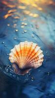 Sea shell in water. . photo