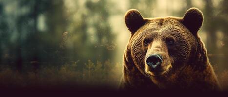 Portrait of a majestic face of a bear on the background of a forest. . photo