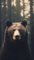Portrait of a majestic face of a bear on the background of a forest. . photo