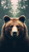 Portrait of a majestic face of a bear on the background of a forest. . photo