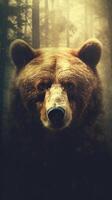 Portrait of a majestic face of a bear on the background of a forest. . photo