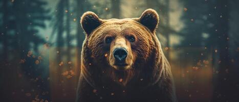 Portrait of a majestic face of a bear on the background of a forest. . photo