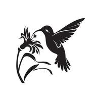 hummingbird silhouette design on white background vector
