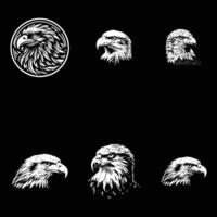 Eagle silhouette design vector