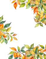 Rectangle blank frame with autumn leaves branch png