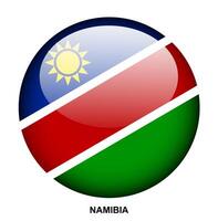NAMIBIA flag button on white background vector