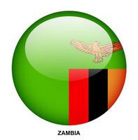 ZAMBIA flag button on white background vector