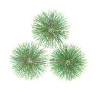 grass with whitte background.3d rendering png