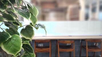 Selective focus of a workplace concept with plant foreground and copy space for text. photo