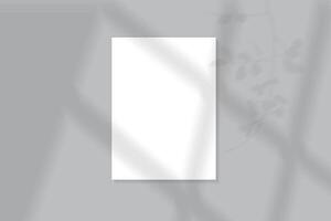 Posters with shadow overlay. white blank image frames vector