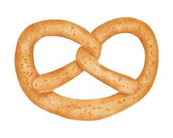 Hand drawn watercolor pretzel isolated on white background vector