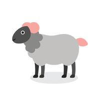 Sheep Animal isolated flat illustration on white background vector