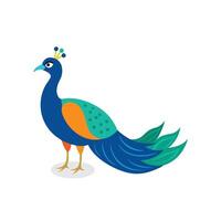 Peacock Animal isolated flat illustration on white background vector