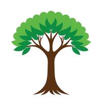Neem tree flat illustration on white background vector