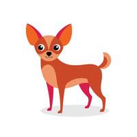 Chihuahua Animal isolated flat illustration on white background. vector