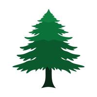 Cedar tree flat illustration on white background vector