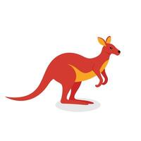 Kangaroo Animal isolated flat illustration on white background vector
