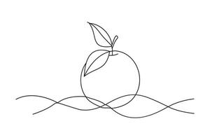 Tangerine fruit, continuous line art isolated flat vector