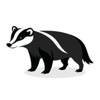 Badger Animal isolated flat illustration on white background. vector