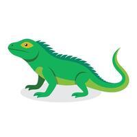 Iguana Animal isolated flat illustration on white background vector