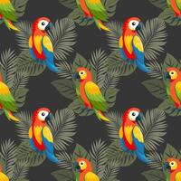 Seamless pattern, cute colorful parrots on a fog of tropical leaves. Cute macaw birds. Design for textile, background, print vector