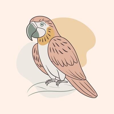 Hand-drawn contour tropical parrot on a background of abstract shapes. Line art, doodle. Illustration, poster, postcard.