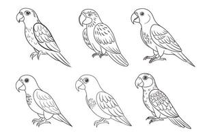 Set of linear drawings of tropical parrots, sketch. Line art for coloring book, decorative elements vector