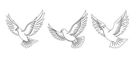 Set of linear drawings of flying doves, sketch. Icons, decorative elements, logo vector