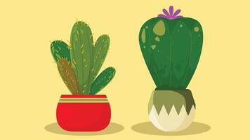cactus plants in a colorful decorated pots isolated with colorful background vector