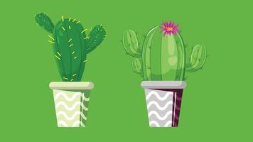 cactus plants in a colorful decorated pots isolated with colorful background vector