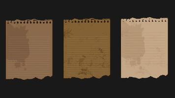 Old piece of paper with different vintage old color styles elements vector