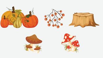 Seasonal abstract background with seasons elements for presentation illustration vector