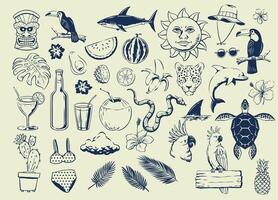 Big Summer Set of Object and Element in Hand Drawn Vintage vector