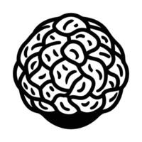 autumn and fall theme, line illustration of truffle vector