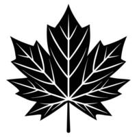 autumn and fall theme, line illustration of autumn leaf vector