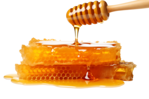 Natural pure honey dripping into honeycomb isolated on transparent background png